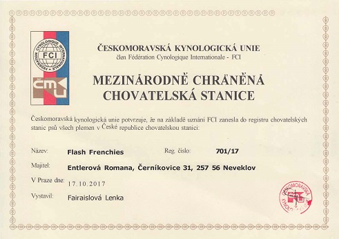 Certifikat CHS Flash Frenchies